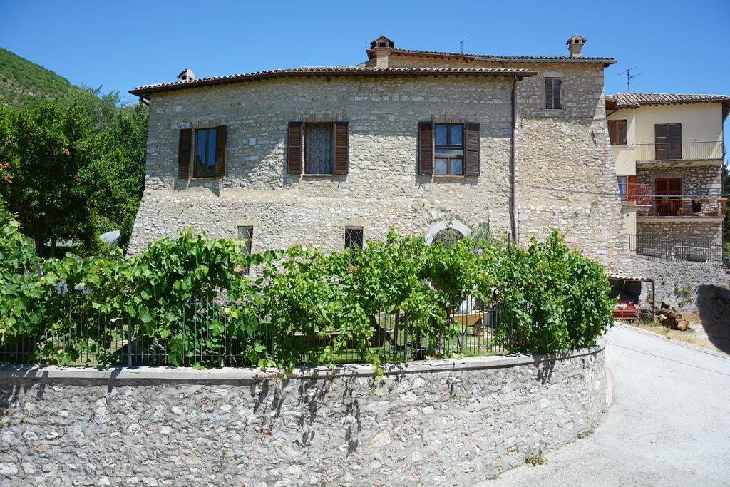 Agriturismo Campagna In Compagnia Vallo di Nera Экстерьер фото
