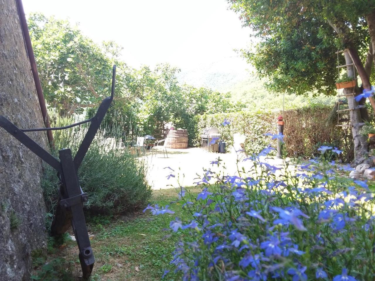 Agriturismo Campagna In Compagnia Vallo di Nera Экстерьер фото